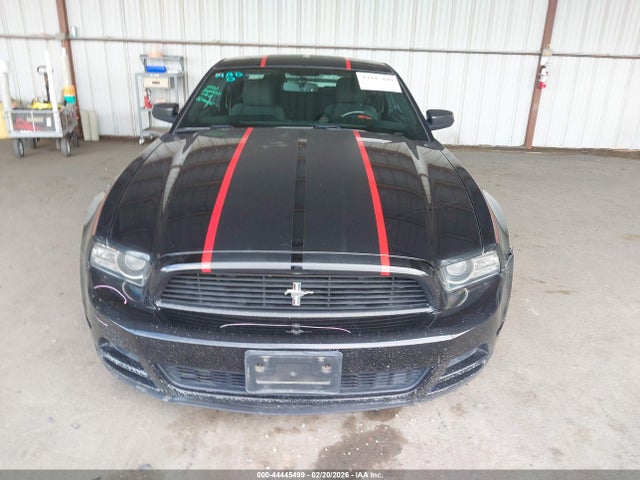 Ford Mustang V6 2014 1ZVBP8AM4E5313757 Image 13
