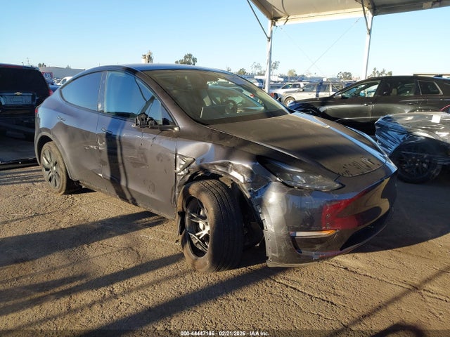 2024 TESLA MODEL Y 7SAYGDEE1RF122880 Photo 0