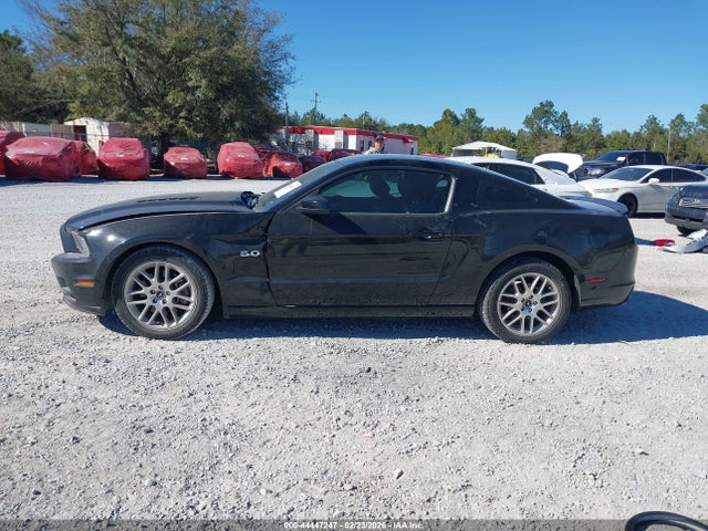 Ford Mustang Gt Premium 2014 1ZVBP8CF0E5239123 Image 14