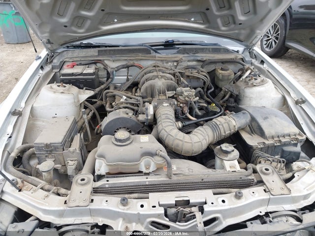 2005 FORD MUSTANG 1ZVFT84N955187025 Photo 9