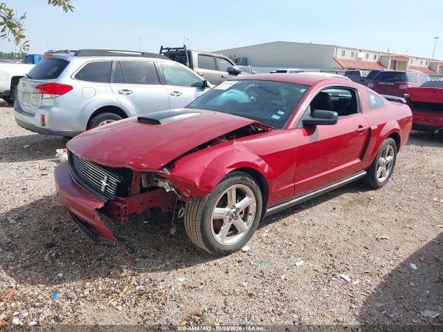 2008 FORD MUSTANG 1ZVHT80N885161504 Photo 1