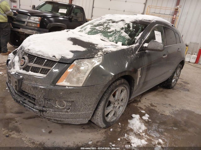 Продажа на аукционе авто 2010 Cadillac Srx Premium Collection, vin: 3GYFNCEY7AS566172, номер лота: 44447553