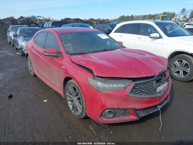44447999 :رقم المزاد ، 19UUB3F6XKA006430 vin ، 2019 Acura Tlx Tech   A-spec Pkgs مزاد بيع