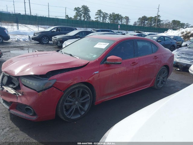 44447999 :رقم المزاد ، 19UUB3F6XKA006430 vin ، 2019 Acura Tlx Tech   A-spec Pkgs مزاد بيع