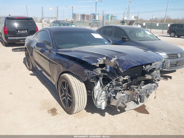 2019 FORD MUSTANG 1FA6P8TH3K5130291