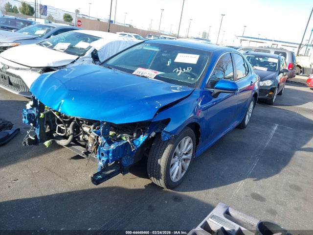 4T1B11HKXKU229598 Toyota CAMRY LE