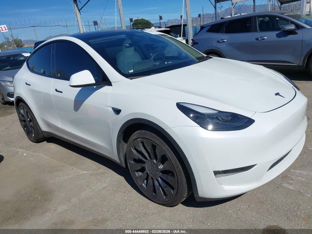 2023 TESLA MODEL Y 7SAYGDEF6PF789854