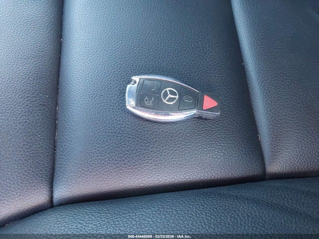 2014 MERCEDES-BENZ CLA 250 WDDSJ4GB3EN121691 Photo 10