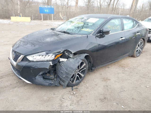 Продажа на аукционе авто 2021 Nissan Maxima Sv Xtronic Cvt, vin: 1N4AA6CV0MC504621, номер лота: 44450780