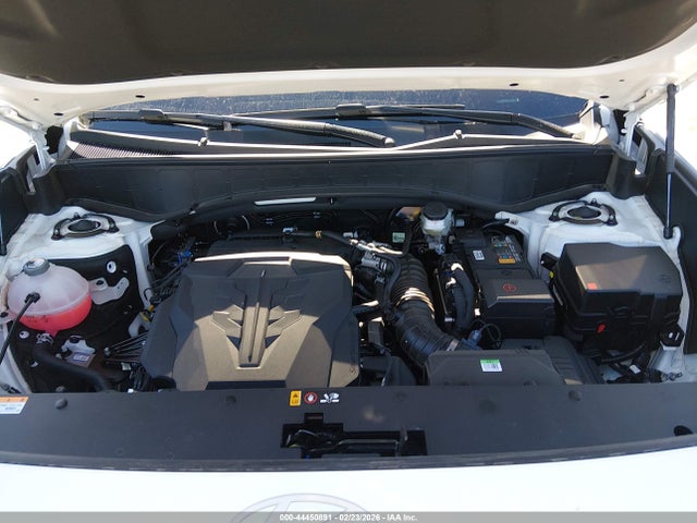 KM8RM5S26TU039160 Hyundai Palisade Calligraphy