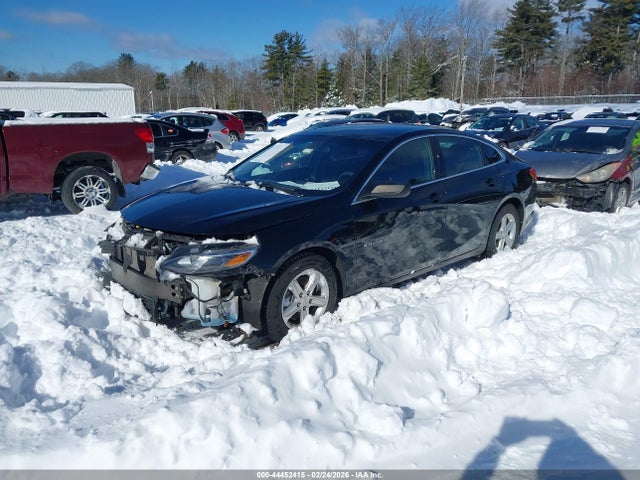 1G1ZB5ST3KF123211 Chevrolet Malibu 1ls
