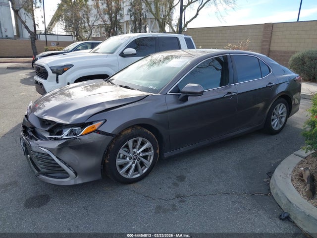 4T1C11AK8MU551206 Toyota CAMRY LE