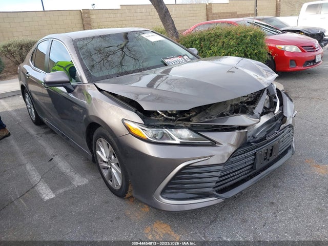 4T1C11AK8MU551206 Toyota CAMRY LE