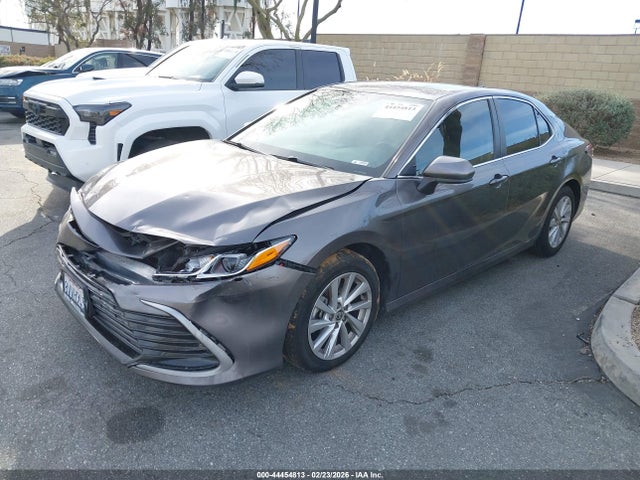 4T1C11AK8MU551206 Toyota CAMRY LE