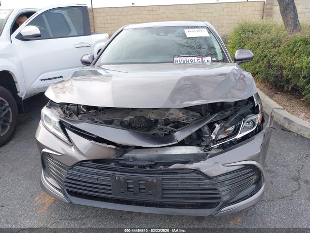 4T1C11AK8MU551206 Toyota CAMRY LE