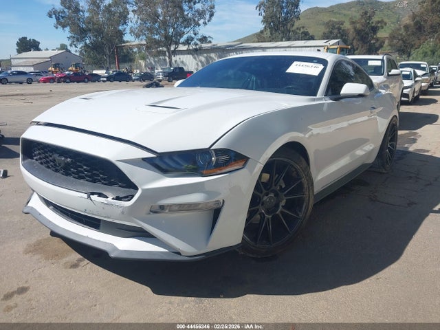 Ford Mustang Ecoboost Premium 2019 1FA6P8TH9K5186431 Image 2