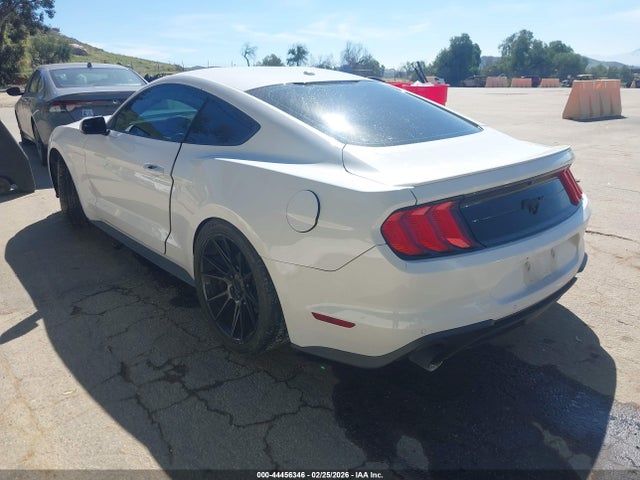 Ford Mustang Ecoboost Premium 2019 1FA6P8TH9K5186431 Image 3