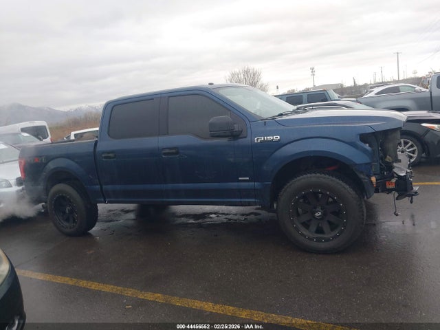 Ford F-150 Xlt 2015 1FTEW1EP1FKE31895 Image 13