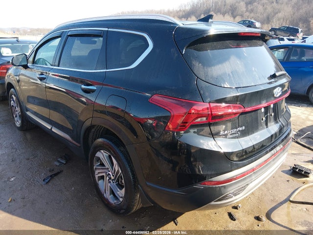 2023 HYUNDAI SANTA FE 5NMS2DAJ5PH649112 Photo 2