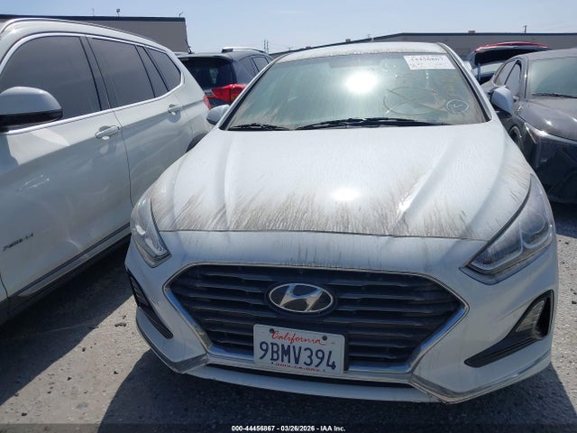 5NPE24AF9KH777289 Hyundai SONATA SE
