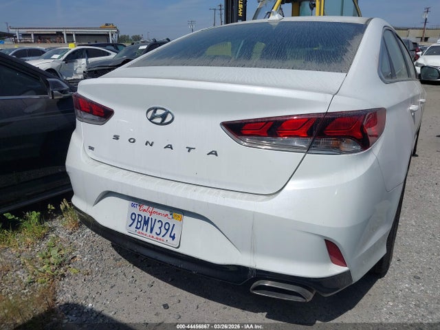5NPE24AF9KH777289 Hyundai SONATA SE