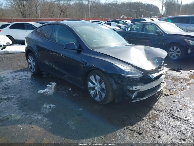 2024 TESLA MODEL Y 7SAYGDED6RF093187 Photo 0