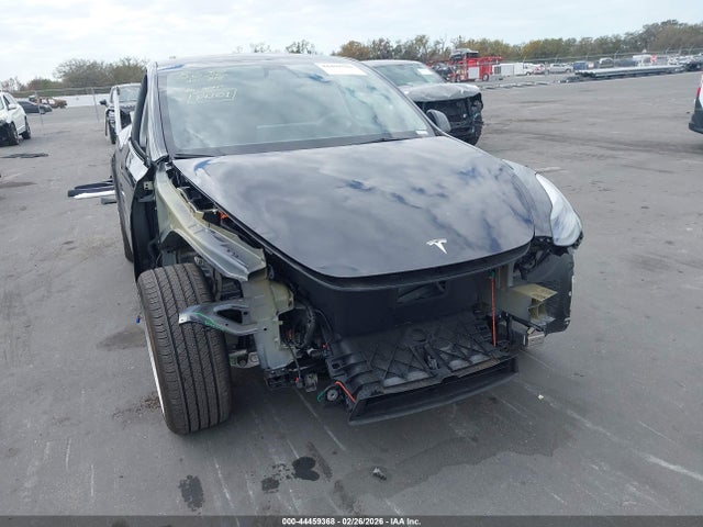 2024 TESLA MODEL Y 7SAYGDED6RF040246 Photo 5