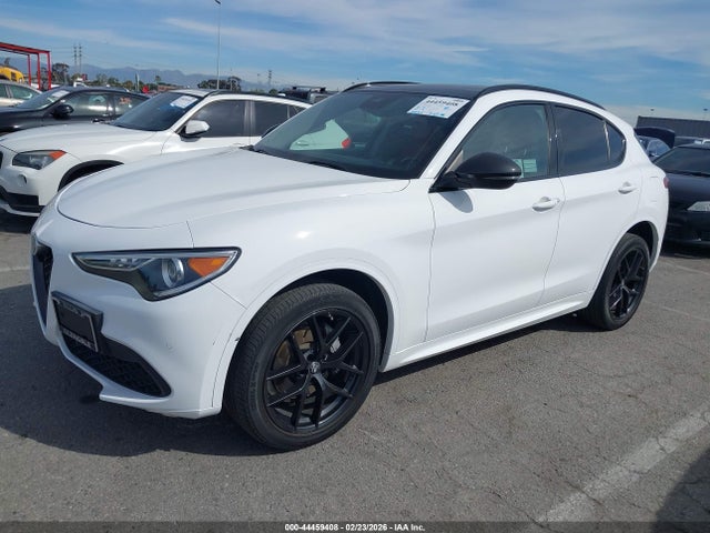 2021 ALFA ROMEO STELVIO ZASPAKBN7M7D17682 Photo 1