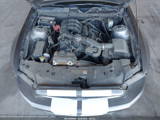 1ZVBP8AM0E5237891 Ford Mustang V6