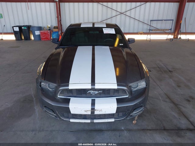 1ZVBP8AM0E5237891 Ford Mustang V6