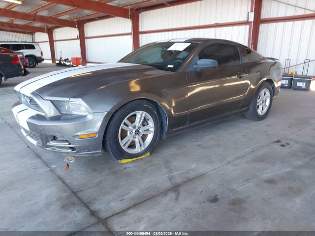 1ZVBP8AM0E5237891 Ford Mustang V6