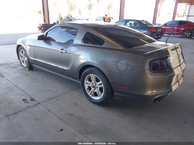1ZVBP8AM0E5237891 Ford Mustang V6
