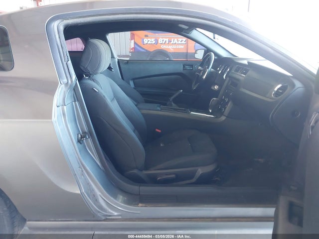 1ZVBP8AM0E5237891 Ford Mustang V6