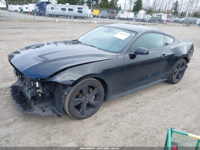 Ford Mustang Ecoboost Fastback 2021 1FA6P8TH0M5127108 Image 2