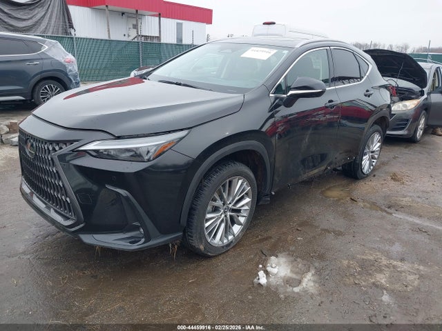 2025 Lexus Nx 350 Premium მანქანა იყიდება აუქციონზე, vin: 2T2GGCEZ7SC075592, აუქციონის ნომერი: 44459916