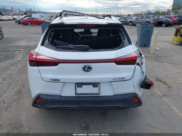 2019 LEXUS UX 250H JTHU9JBH8K2002990 Photo 5
