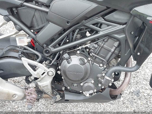 Honda CBF300 NA 2025 MLHNC5556S5500777 Image 8