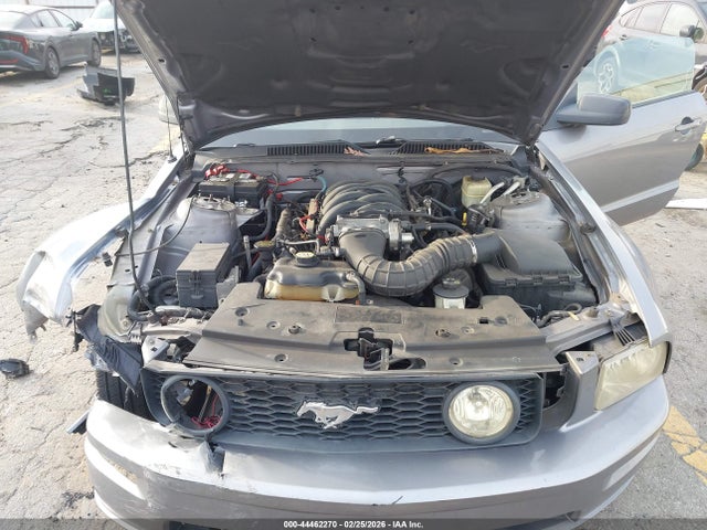 2006 FORD MUSTANG 1ZVHT82H365215862 Photo 9
