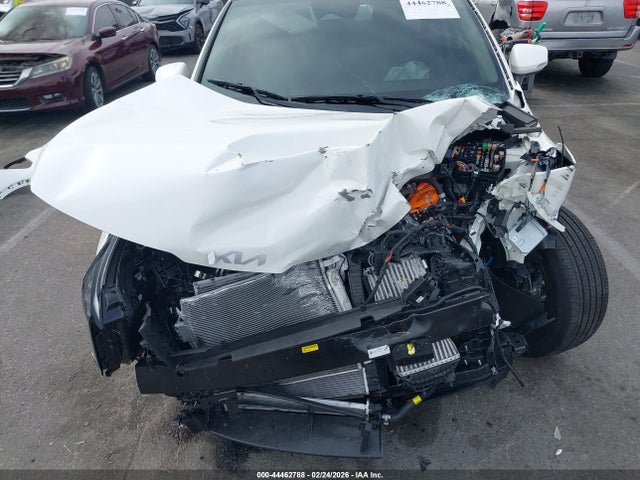 KNDPVDDG7T7299268 KIA Sportage Hybrid Ex