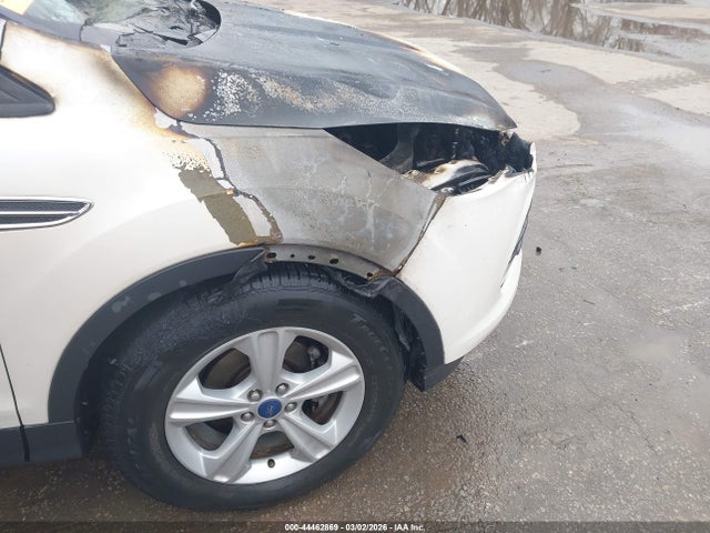 44462869 :رقم المزاد ، 1FMCU0GX4EUA83271 vin ، 2014 Ford Escape Se مزاد بيع