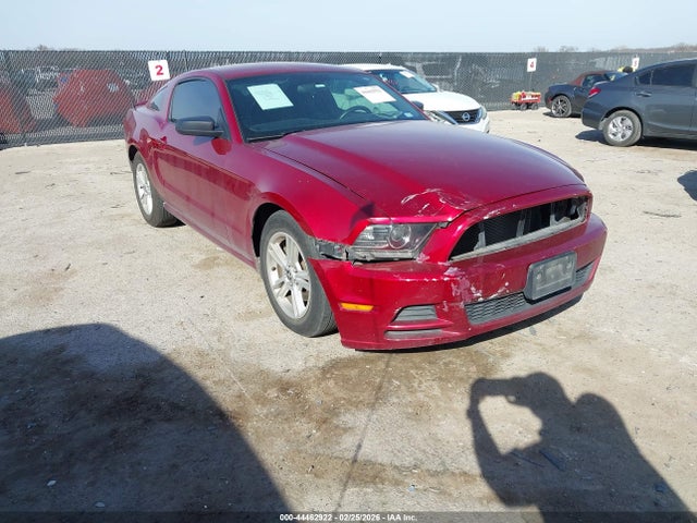 2014 FORD MUSTANG 1ZVBP8AM8E5204296