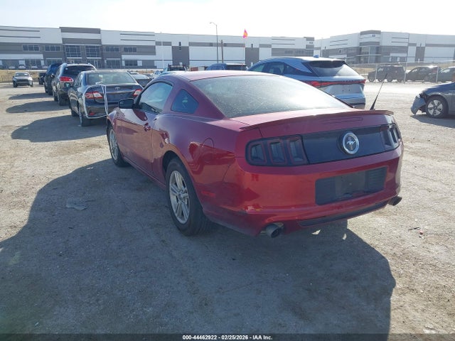 2014 FORD MUSTANG 1ZVBP8AM8E5204296 Photo 2