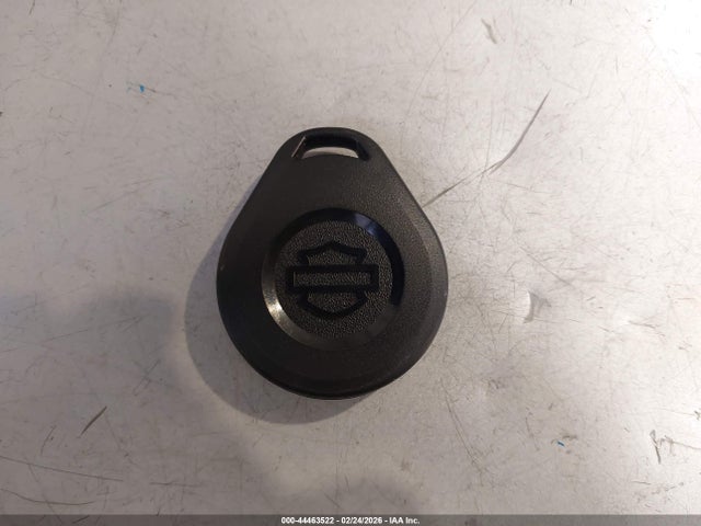 2020 HARLEY-DAVIDSON XL883 1HD4LE212LB435038 Photo 10