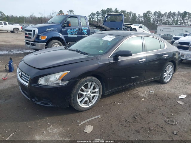 1N4AA5AP4EC467332 Nissan Maxima 3.5 S/3.5 Sv