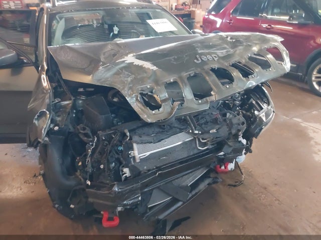 1C4PJMBXXMD113806 Jeep Cherokee Trailhawk 4x4