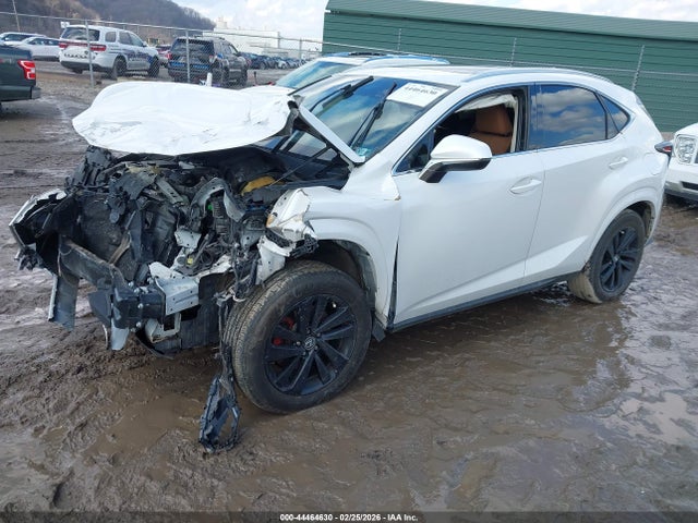 2019 Lexus Nx 300 მანქანა იყიდება აუქციონზე, vin: JTJBARBZ4K2183378, აუქციონის ნომერი: 44464630