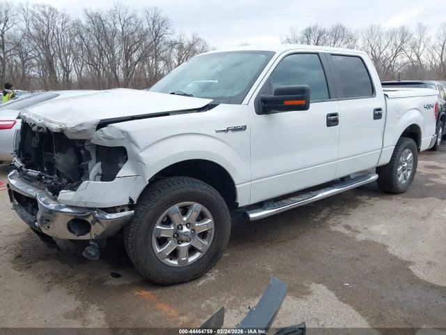 Продаж на аукціоні авто 2013 Ford F-150 Xlt, vin: 1FTFW1EF6DKE02742, номер лоту: 44464759