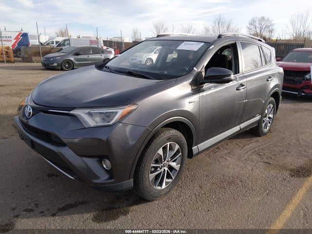 JTMRJREV8GD030489 Toyota Rav4 Hybrid Xle