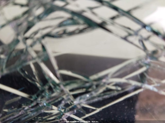 2023 TESLA MODEL 3 5YJ3E1EA9PF446780 Photo 4