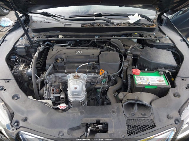 19UUB1F56FA021816 Acura TLX TECH